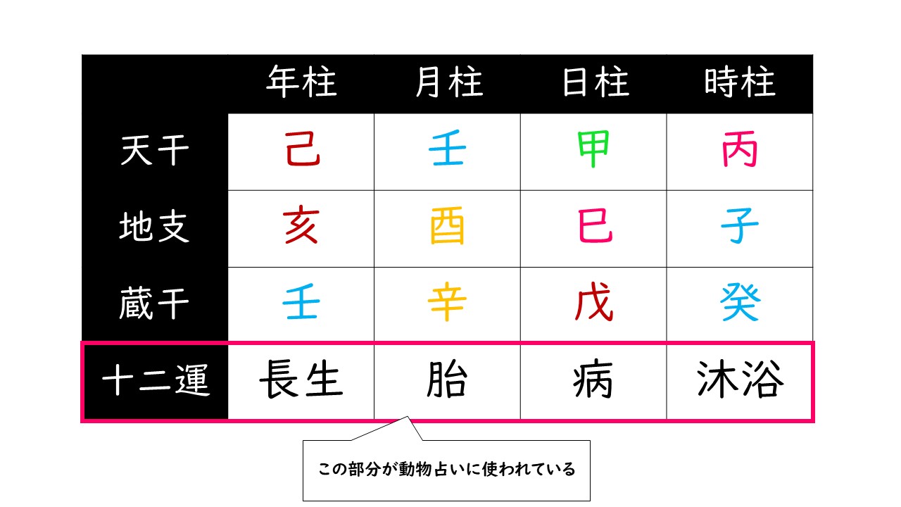 動物占いはなぜ当たる 動物ごとの性格は 四柱推命